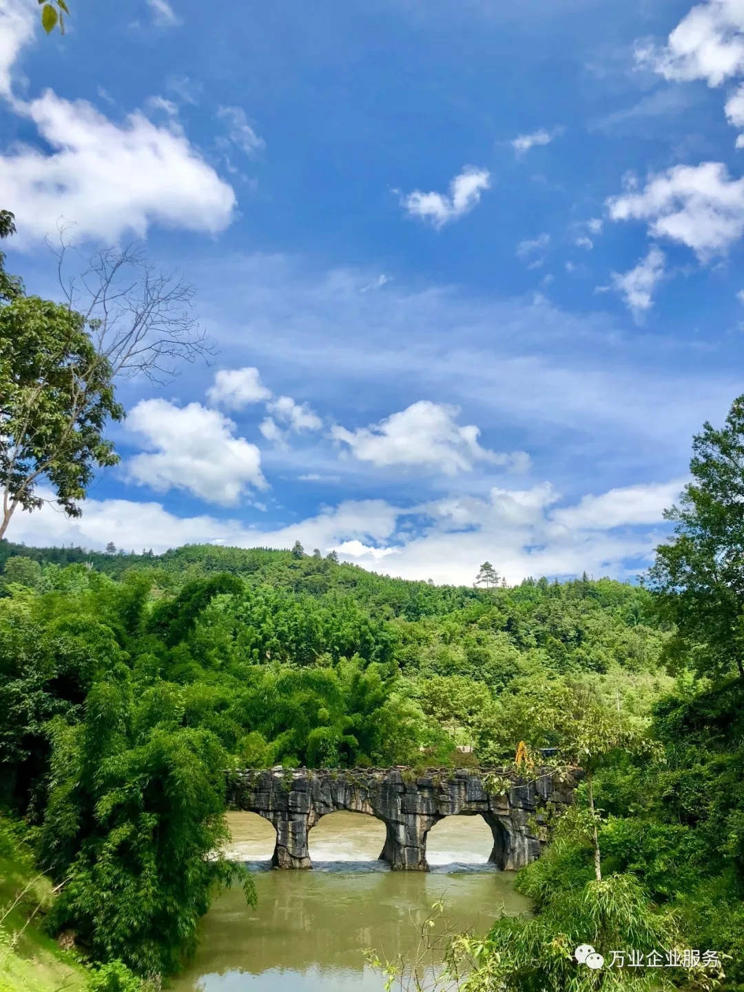 汽車(chē)開(kāi)動(dòng)分割線(xiàn)