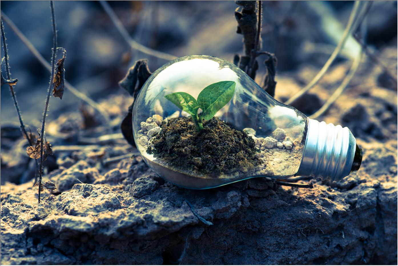 建筑項(xiàng)目的最新趨勢(shì)是什么？